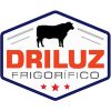 Logo DRILUZ